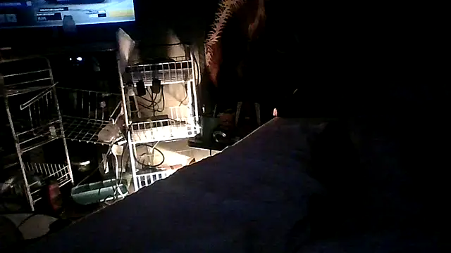 jaxx12369 Live XXX Chat