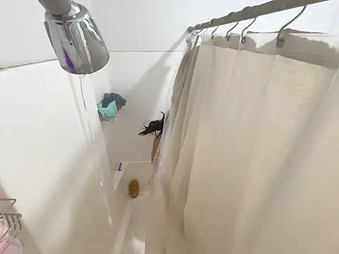 Živý XXX chat Onlypawzz