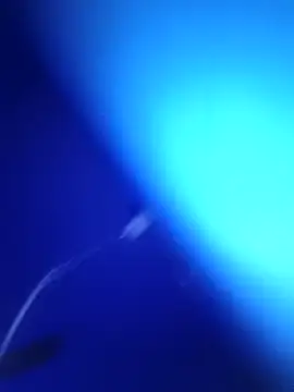 Villageanuty Show in webcam