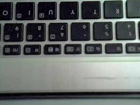 Delicious-D Webcam-Show