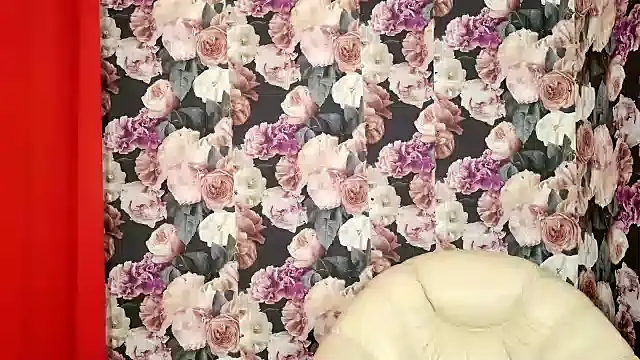 NASSYMIA03n Webbikameraesitys