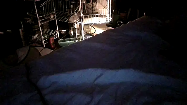 دردشة jaxx12369 الجنسية المباشرة