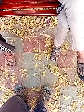 Chat +18 de Horny-boyyy ao vivo