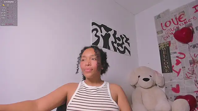 Nia13n Webbikameraesitys