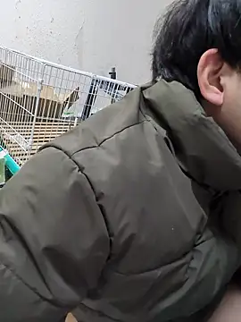 Show webcam de youheikun