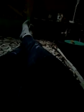 Kryhitka – Kamerová šou