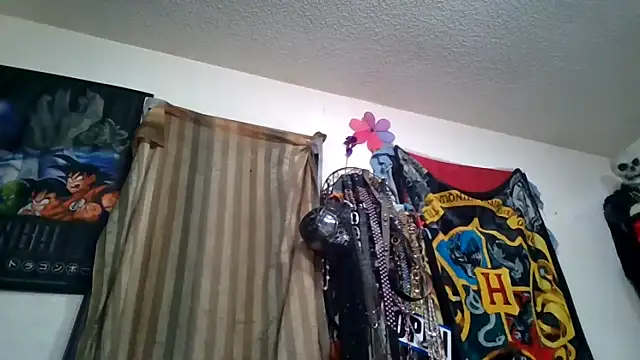 slinginbigD: διαδικτυακό σόου στην κάμερα