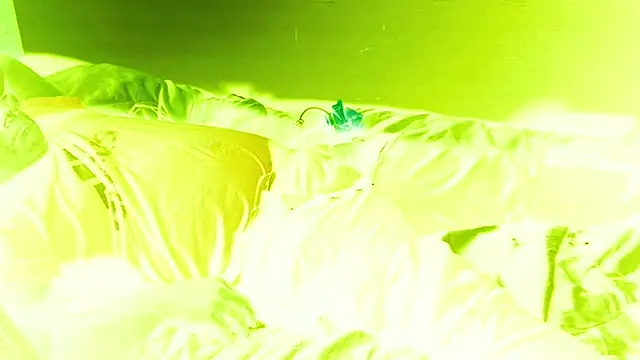 Czat XXX na żywo – AlanDicksons