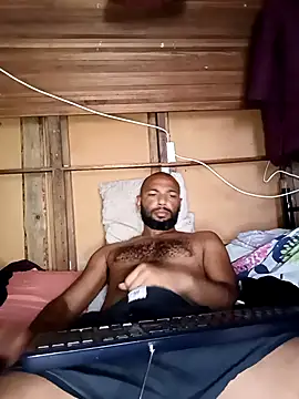 Show Webcam de Camodick