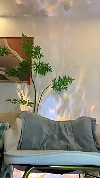 zhizhinaigai Obrolan Langsung XXX