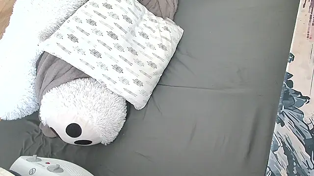 CeriseLapine Live XXX-chat