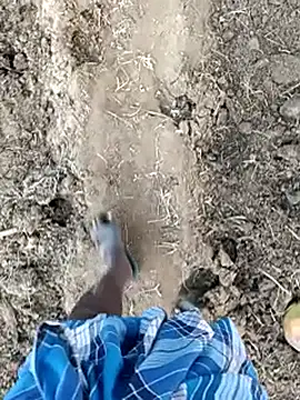 โชว์เว็บแคมของ dolphiinn