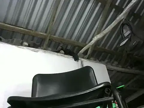 Chat XXX en directo de michel_sc