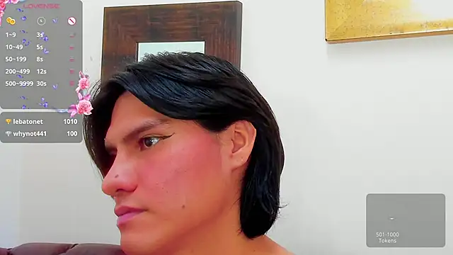 Show webcam de Alexx_North