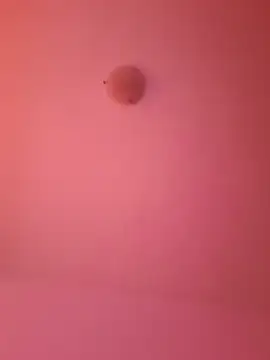 Show de webcam de TheSexyMaster