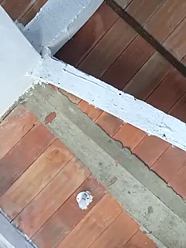 Cataleya_ja Obrolan Langsung XXX