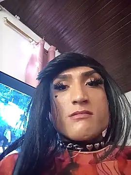 TRANS_COLOMBIAn Webbikameraesitys