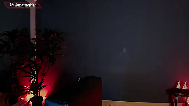 Chat XXX ao vivo de MyMayte