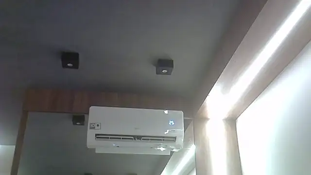 SkinnyKitten 웹캠 쇼