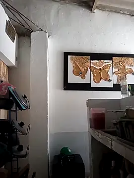 Chingasexo: вебкам-шоу