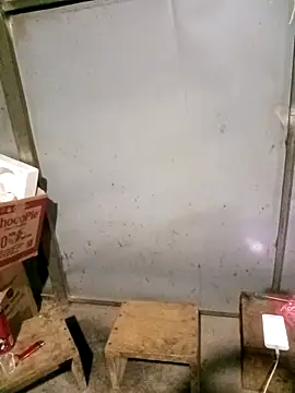 Girl-crazy1's Live XXX Chat