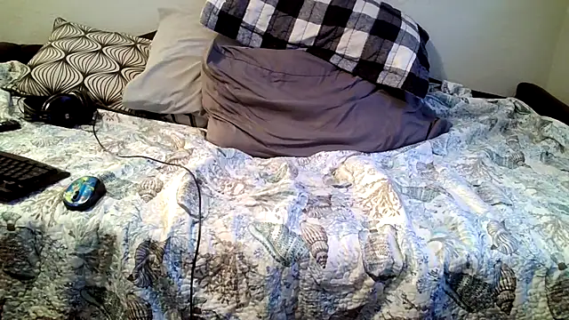 Show webcam de ParlayT28