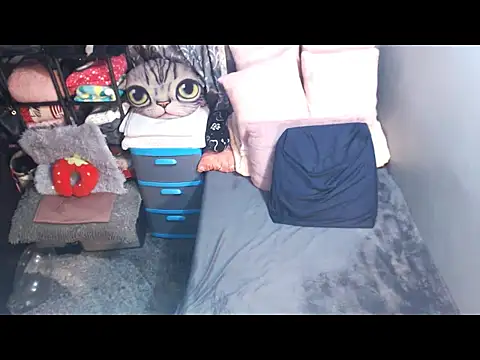 alanalaurent15 – Naživo XXX chat