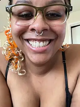 nintendhoeのウェブカメラショー