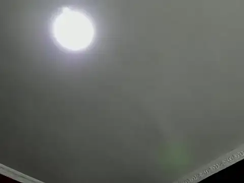 Pertunjukan Kamera Web _Aragon__