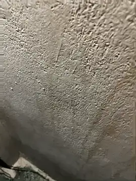 Pertunjukan Kamera Web bodylifter