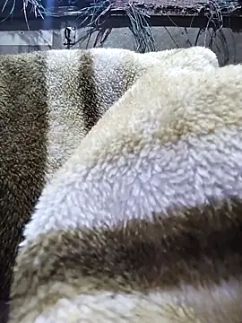 دردشة Hot_bhabhi300 الجنسية المباشرة