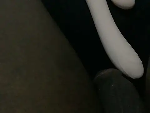 TICKDICK320 webcam show