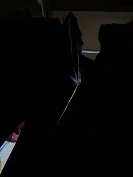 Show Webcam de Keola_kwad