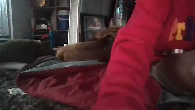 81grandplusthis Pertunjukan Webcam