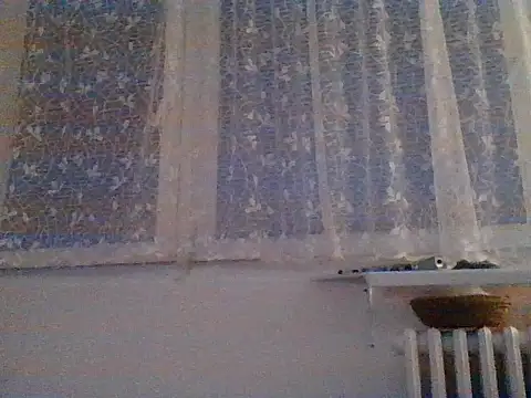 Chat XXX en directo de 82liska