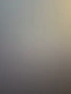 SofiaG_ live XXX chat