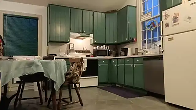 Pertunjukan Kamera Web CDforU