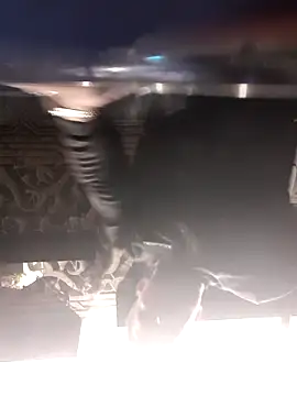 TheSexyMaster – Kamerová šou