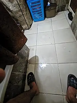 Show de Meshiicocktail na webcam