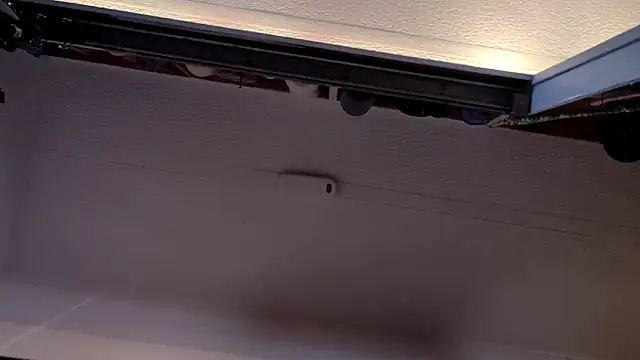 Show Webcam de LordSpunFun