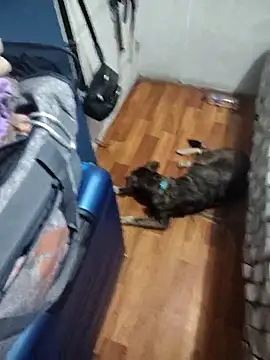 Jeanka18z Pertunjukan Webcam