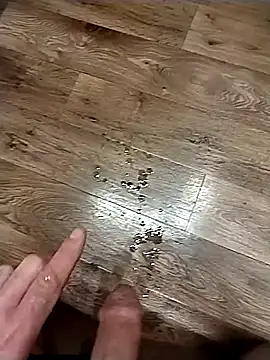 gfbowdckのウェブカメラショー