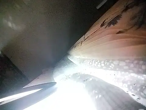 Chat XXX ao vivo de Lana-murr