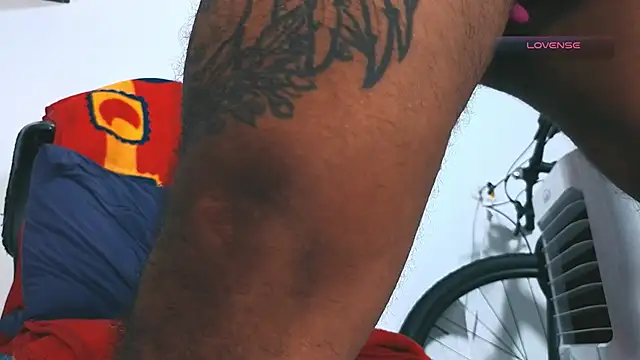 Show webcam de SilvaBranko