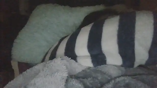 Chat XXX en directo de Trinsy_Love