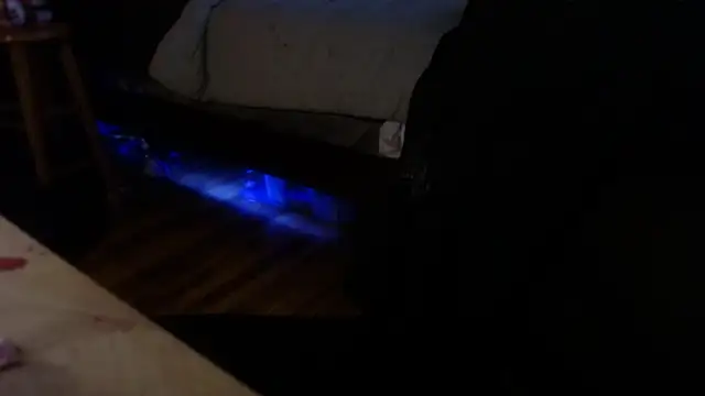 flexingplexico: вебкам-шоу