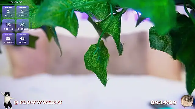 Chat +18 de FlowweerGirl ao vivo