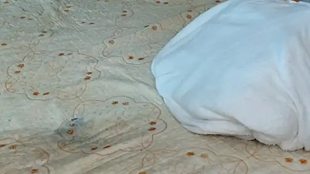 แชท XXX สดของ CurvyDarkAss24