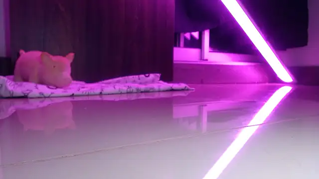 دردشة yourmajesty الجنسية المباشرة