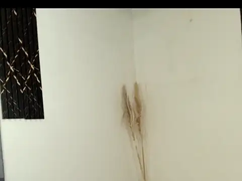 Chat XXX en directo de Celeste_ruiz07